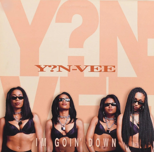 Y.N.V. - I'm Goin' Down